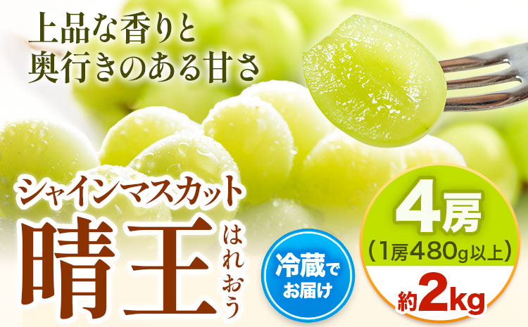 【2025年先行予約】シャインマスカット晴王 はれおう 4房(1房480g以上) 約2kg 株式会社山博(中本青果)《2025年8月下旬-10月中旬頃出荷》岡山県 浅口市 シャインマスカット 晴王 ぶどう マスカット 大粒 フルーツ 秀品 旬 果物 贈り物 ギフト 国産 岡山県産 送料無料  【配送不可地域あり】（北海道・沖縄・離島）