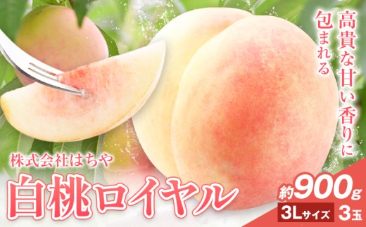 【先行予約】岡山白桃 等級 ロイヤル 約900g《7月上旬‐8月下旬頃出荷》もも モモ 岡山 国産 フルーツ 果物 岡山県 浅口市 株式会社 はちや フルーツ モモ 果物 青果 旬 白桃 国産 岡山県産【配送不可地あり】