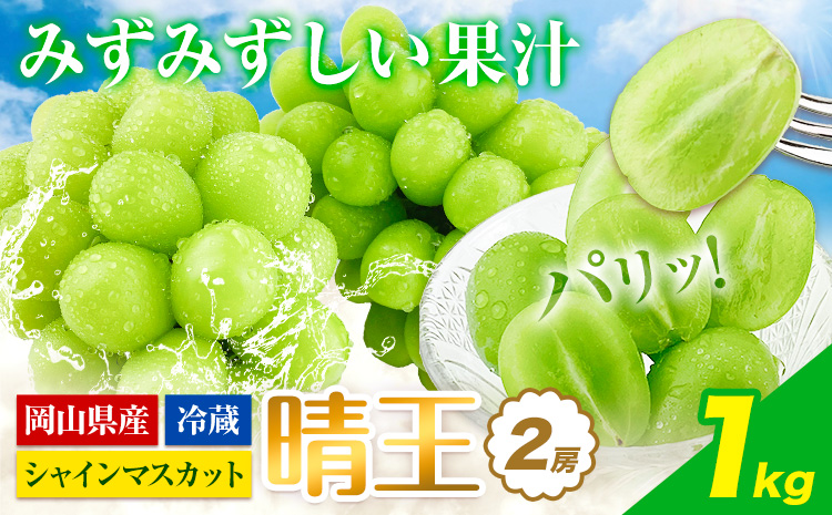 ぶどう [2026年先行予約] シャインマスカット 晴王 2房 1kg 岡山県産《2026年9月上旬-10月末頃出荷(土日祝除く)》 ハレノフルーツ マスカット 送料無料 岡山県 浅口市 フルーツ 果物 贈り物 ギフト 国産 岡山県産 くだもの 青果物 【配送不可地域あり】（北海道・沖縄・離島）