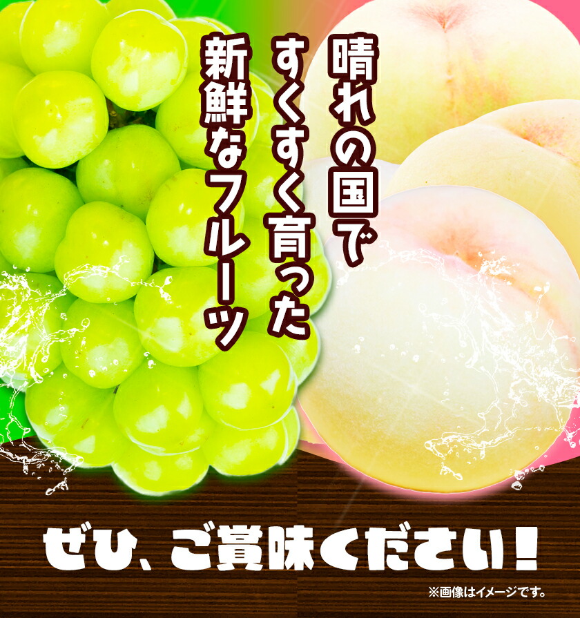 【2025年先行予約】岡山の厳選フルーツ 定期便2回コース 岡山の白桃 6玉(1.6kg以上) シャインマスカット 晴王 2房(1房600g以上) 化粧箱入り ギフト 贈答用 旬 フルーツ 果物 株式会社山博(中本青果) 《2025年7月上旬-8月下旬頃出荷》 岡山県 浅口市 送料無料 【配送不可地域あり】