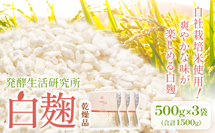 発酵生活研究所 白麹(乾燥品) 500g×3袋 丸本酒造株式会社《30日以内に出荷予定(土日祝除く)》岡山県 浅口市 白麹 麹 こうじ 乾燥 発酵食品 甘酒 送料無料