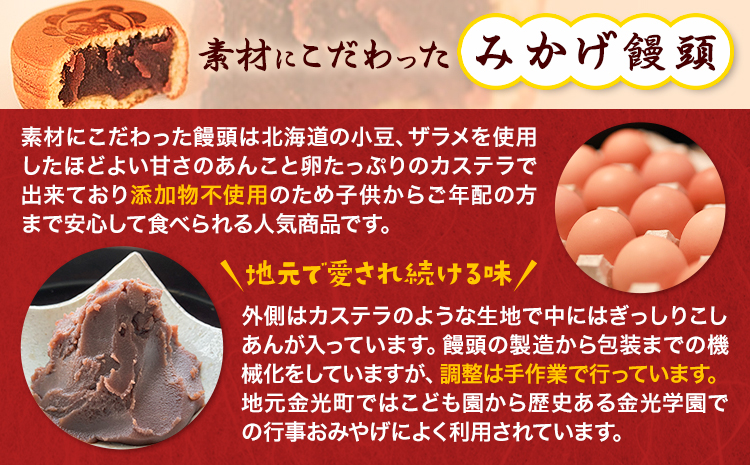 饅頭 まんじゅう みかげ饅頭 15個 金悦堂《30日以内に発送予定(土日祝除く)》 和菓子 お茶請け 岡山県 浅口市