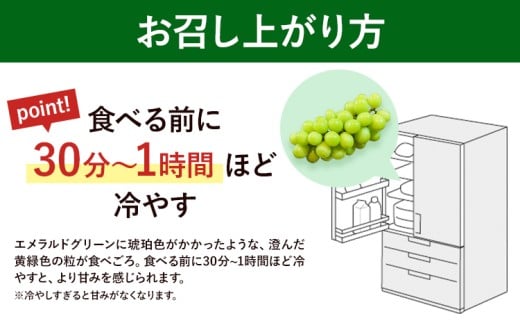 【先行予約】岡山県産 マスカット・オブ・アレキサンドリア 計 600g 株式会社 はちや《6月下旬‐7月下旬頃出荷》岡山 国産 フルーツ 果物 岡山県 浅口市 フルーツ 果物 マスカット オブ アレキサンドリア【配送不可地域あり】