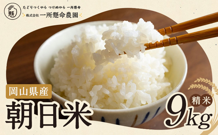令和7年産 岡山県産 朝日米 精米 9kg 株式会社 一所懸命農園 岡山県 浅口市《30日以内に出荷予定(土日祝除く)》精米 米 あさひ 白米 送料無料