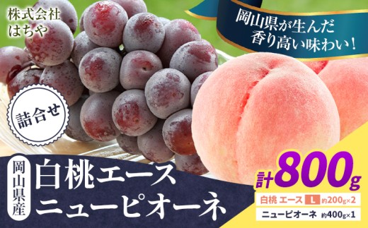 【先行予約】岡山県産 岡山白桃 エース ニューピオーネ 計 800g 詰合せ 株式会社 はちや《7月上旬‐8月下旬頃出荷》もも 岡山 国産 フルーツ 果物 岡山県 浅口市 フルーツ モモ 果物【配送不可地域あり】