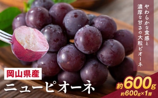 【先行予約】 岡山県産 ニューピオーネ詰合せ 選べる 計 600g 株式会社はちや《8月下旬‐9月下旬頃出荷》岡山県 浅口市 ぶどう 葡萄 フルーツ ギフト 果物 デザート 国産 送料無料【配送不可地域あり】