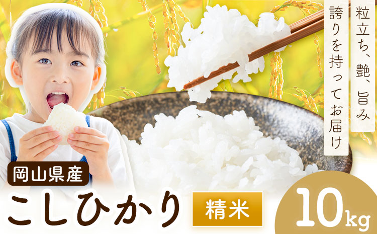 岡山県産 こしひかり 10kg(5kg×2袋) 精米 全農パールライス株式会社[30日以内に出荷予定(土日祝除く)] 岡山県 浅口市 送料無料 こめ 精米 コシヒカリ