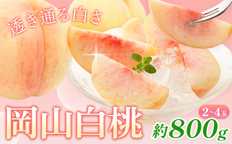 【先行予約】桃 岡山白桃 800g 2-4玉 株式会社藍《2025年7月中旬-8月上旬頃出荷》 岡山県 浅口市 岡山県産 もも フルーツ 果物 くだもの 白桃 送料無料