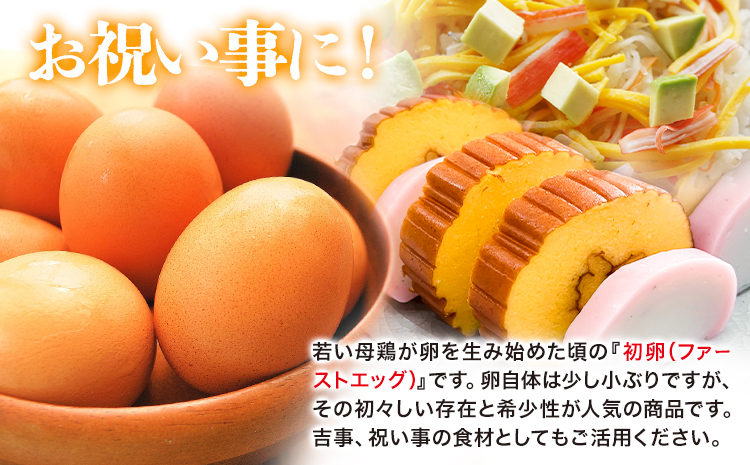 卵 たまご 赤玉 ファーストエッグ 60個《90日以内に出荷予定(土日祝除く)》株式会社めぐみ 岡山県 浅口市 送料無料 30個 × 2セット 食卓 産みたて 初卵 希少