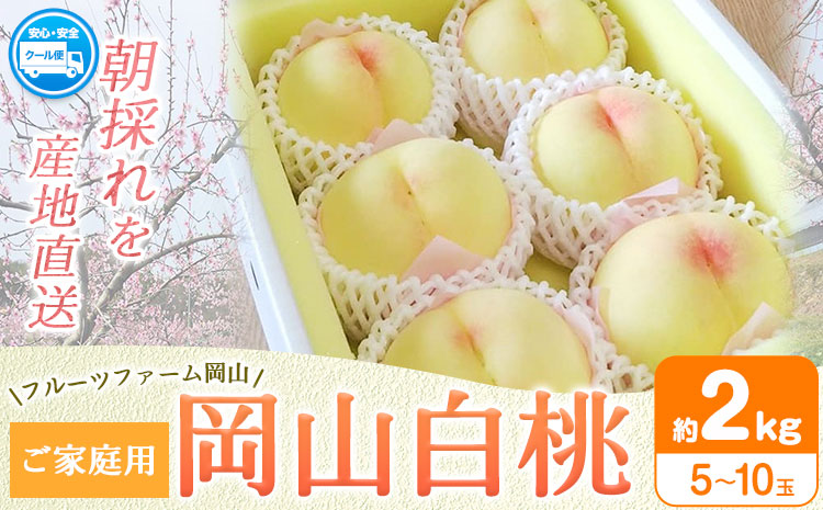 【2026年先行予約】桃 旬 岡山白桃 旬の桃 ご家庭用 2kg (5〜10玉) フルーツファーム岡山《2026年6月下旬-8月下旬頃出荷》岡山県 浅口市 送料無料 フルーツ モモ 果物 青果 旬 国産 岡山県産【配送不可地域あり】（離島）