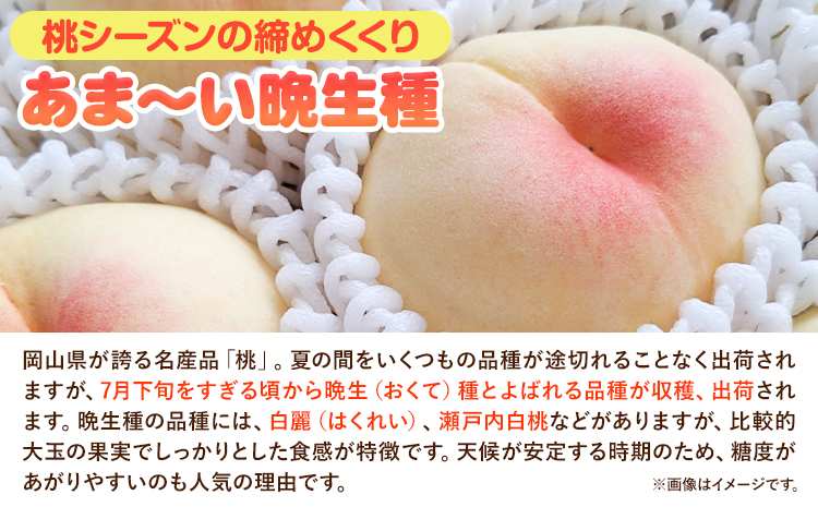 縲2026蟷エ蜈郁。御コ育エ縲大イ。螻ア逵檎肇 逋ス譯 譎ゥ逕溽ィョ 邏 1.3kg 5-6邇 譎エ繧後ョ蝗ス 縺翫°繧縺セ鬢ィ 貍よオ∝イ。螻ア 縲2026蟷エ7譛井ク区流-9譛井クュ譌ャ鬆蜃コ闕キ縲句イ。螻ア逵 豬蜿」蟶 繝輔Ν繝シ繝 繝「繝「 譫懃黄 髱呈棡 譌ャ縲宣埼∽ク榊庄蝨ー蝓溘≠繧翫托シ磯屬蟲カシ