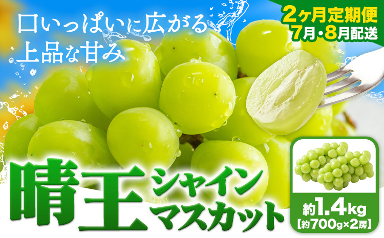 【2ヶ月定期便】ぶどう シャインマスカット 晴王 1.4kg 2房 ハレノフルーツ(アストライ)《7月上旬-8月末頃出荷》岡山県 浅口市 送料無料 フルーツ 果物 マスカット お取り寄せフルーツ【配送不可地域あり】（北海道・沖縄・離島）