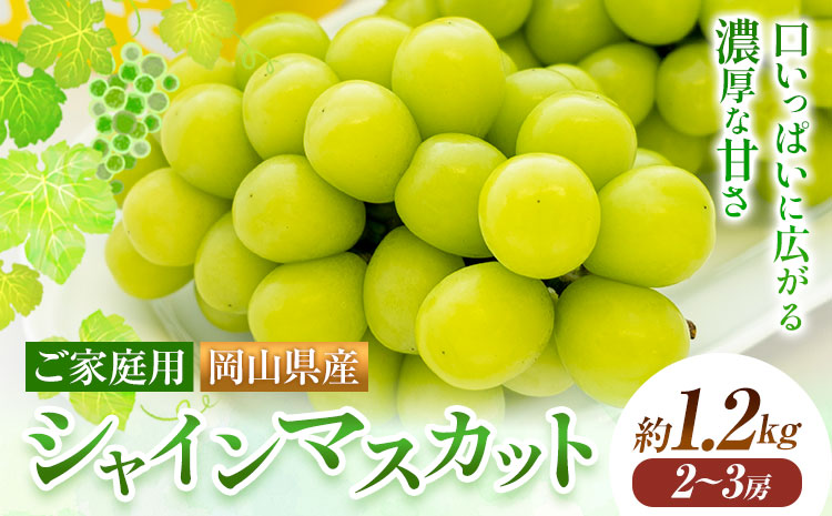 【2025年先行予約】ご家庭用 岡山県産 シャインマスカット 約1.2kg ( 2〜3房 ) クール便 晴れの国 おかやま館 (つむぐ株式会社) 《2025年9月上旬-11月中旬頃出荷》岡山県 浅口市 マスカット ぶどう 葡萄 果物 フルーツ 送料無料【配送不可地域あり】（北海道・沖縄・離島）