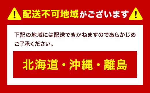 【先行予約】 岡山県産 シャインマスカット「晴王」とニューピオーネ 計 1.2kg 株式会社はちや《6月下旬～7月下旬頃頃出荷》岡山県 浅口市 ぶどう 葡萄 フルーツ ギフト 果物 デザート 国産【配送不可地域あり】
