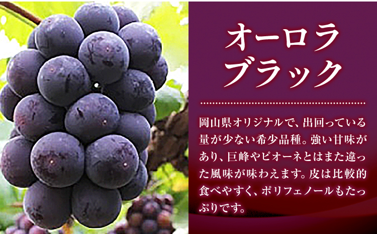 èš³ãã ã¶ã©ã 3çš® ã»ãã çŽ1.8kg ( 3~4æ¿ ) ã·ã£ã€ã³ãã¹ã«ãã ããªãŒã ã¯ã€ãŒã³ããŒã ãªãŒãã©ãã©ãã¯ æ ªåŒäŒç€Ÿæ¥æ¬æ€çã°ã«ãŒãæ¬ç€Ÿ NISSHOKU FARMã9æäžæ¬-12ææ«é åºè·ããã㊠æµ
å£åž ãé
éäžå¯å°åããã (é¢å³¶)