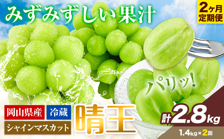 ぶどう 2ヶ月 定期便 [2026年先行予約] シャインマスカット 晴王 約1.4kg 岡山県産《9月上旬-10月末頃出荷(土日祝除く)》 ハレノフルーツ マスカット 送料無料 岡山県 浅口市 フルーツ 果物 贈り物 ギフト 国産 岡山県産 くだもの【配送不可地域あり】（北海道・沖縄・離島）