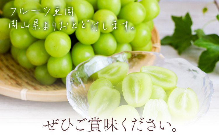 【先行予約】シャイン マスカット 晴王 2房（1房550g以上）マスカット ブドウ 葡萄 岡山県産 国産 フルーツ 果物 ギフト 桃茂實苑《7月上旬-8月中旬頃出荷》岡山県 浅口市 フルーツ ぶどう 果物 青果 旬 葡萄 国産 岡山県産【配送不可地域あり】