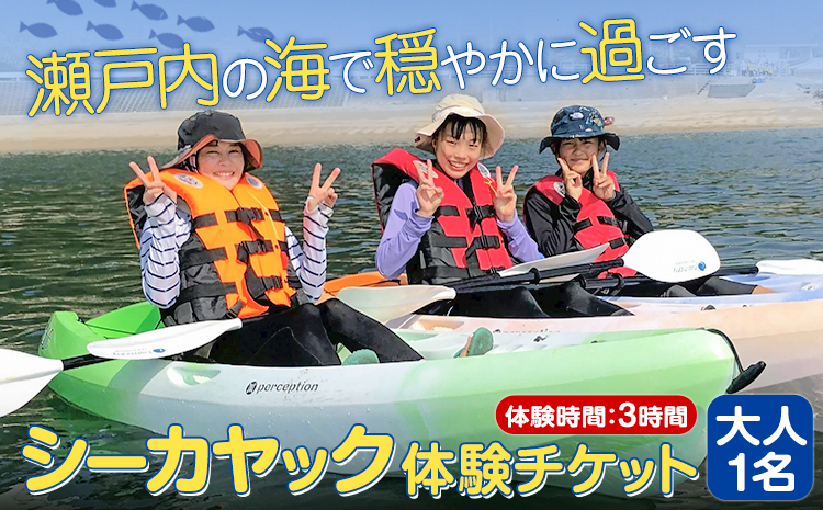 シーカヤックチケット 大人1名 体験時間 3時間 NPO法人あさくちスポーツクラブ遊ぶところ《90日以内に出荷予定(土日祝除く)》岡山県 浅口市 シーカヤック カヤック 体験 大人 チケット 海