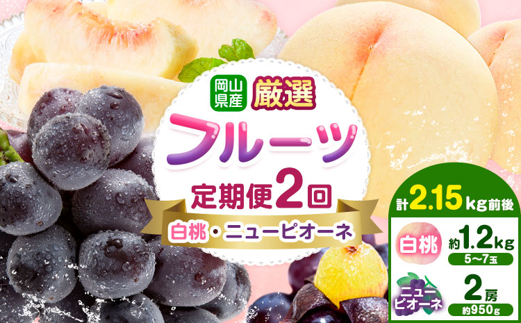 【先行予約】岡山県産 厳選 フルーツ 定期便 2回 白桃 ニューピオーネ 計2.15kg前後 株式会社藍《2026年7月上旬-9月末頃出荷》 岡山県 浅口市 岡山県産 白桃 桃 ニューピオーネ 種無し 旬 フルーツ 果物 くだもの 送料無料 【配送不可地域あり】