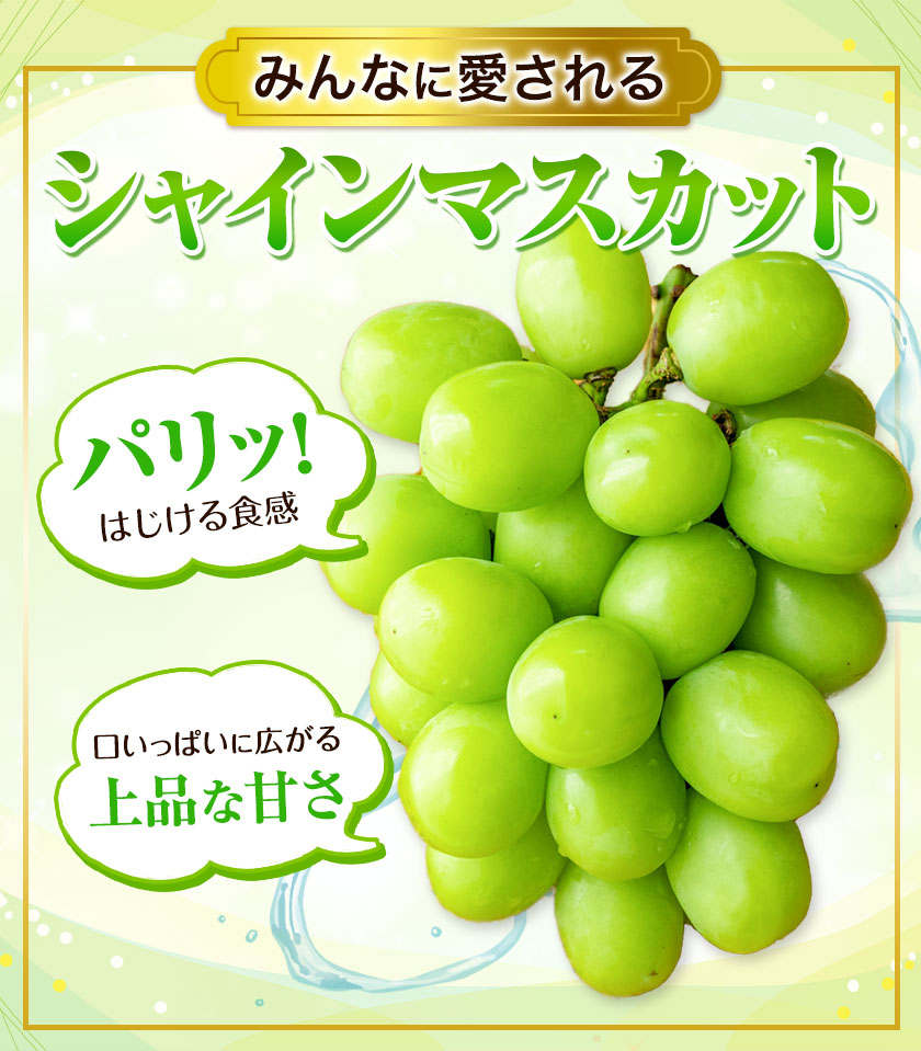 【先行予約】厳選 訳あり シャインマスカット 約 2kg 3~5房《2024年9月中旬-11月上旬頃より発送予定(土日祝除く)》岡山県 浅口市 シャインマスカット ぶどう フルーツ 果物 贈り物 ギフト 国産 岡山県産 送料無料