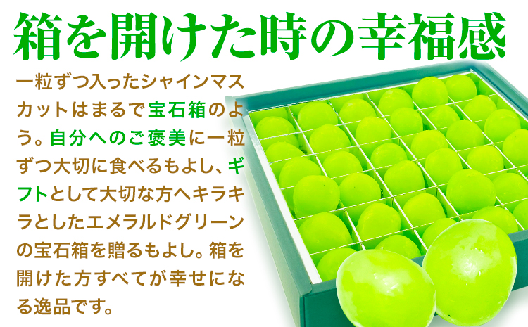 【2026年先行予約】シャインマスカット ジュエルセレクション 20粒 ぶどう 岡山県産《2026年9月上旬-10月末旬頃出荷(土日祝除く)》 ハレノフルーツ マスカット 送料無料 岡山県 浅口市 フルーツ 果物 贈り物 ギフト 国産 岡山県産【配送不可地域あり】（北海道・沖縄・離島）