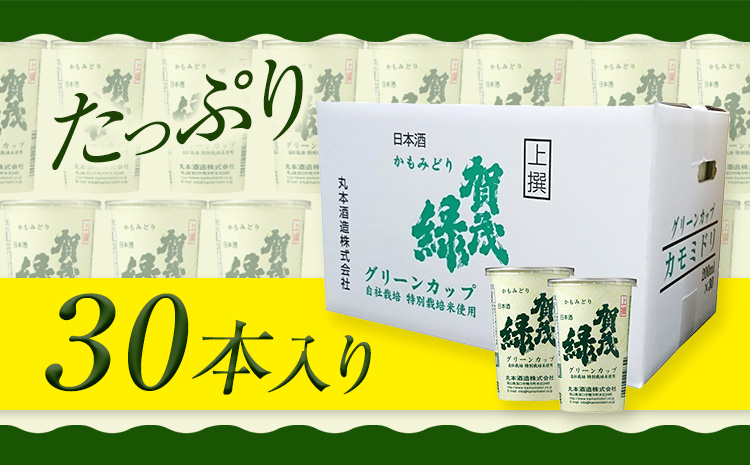 賀茂緑 グリーンカップ 200ml x 30本《30日以内に出荷予定(土日祝除く)》丸本酒造株式会社 岡山県 浅口市 地酒カップ 日本酒 カップ カップ酒 酒 送料無料