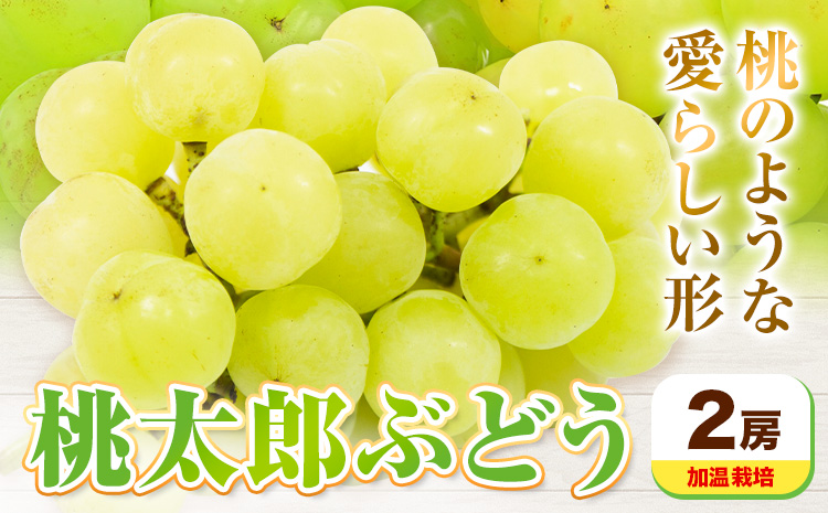 ãå
è¡äºçŽã岡山çç£ æ¡å€ªéã¶ã©ã 2æ¿ å æž©æ œå¹ãé
éäžå¯å°åãããã7æäžæ¬-8æäžæ¬é ã«åºè·äºå®(忥ç¥é€ã)ãæéäŒç€ŸããŒãã£ã«ã«ãã£ãŒç¥å³¶