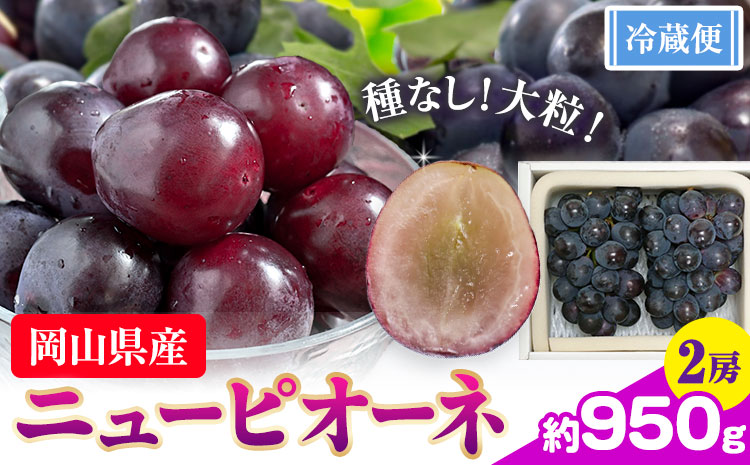 ぶどう ニューピオーネ  2房 約950g  【配送不可地域あり】（北海道・沖縄・離島） 株式会社藍《9月中旬-10月下旬頃出荷》 岡山県 浅口市 岡山県産 ぶどう フルーツ 果物 くだもの ピオーネ 送料無料