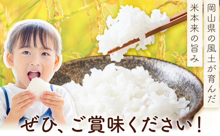 岡山県産 こしひかり 10kg(5kg×2袋) 精米 全農パールライス株式会社《30日以内に出荷予定(土日祝除く)》 岡山県 浅口市 送料無料 こめ 精米 コシヒカリ