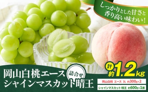 【先行予約】岡山県産 岡山白桃 エース L~ 3Lサイズ シャインマスカット 計 1.2kg 詰合せ 株式会社 はちや《7月上旬-8月下旬頃出荷》もも 岡山 国産 フルーツ 果物 岡山県 浅口市 フルーツ モモ 果物【配送不可地域あり】