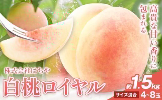 【先行予約】岡山白桃 等級 ロイヤル 約1.5kg《7月上旬‐8月下旬頃出荷》もも モモ 岡山 国産 フルーツ 果物 岡山県 浅口市 株式会社 はちや フルーツ モモ 果物 青果 旬 白桃 国産 岡山県産【配送不可地あり】