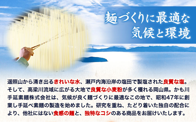 うどん 手延べざるうどん つけつゆ付き 200g×6袋 1.2kg つけつゆ 300ml かも川手延素麺株式会社《30日以内に発送予定(土日祝除く)》岡山県 浅口市 紙箱入 お土産 送料無料 麺 小麦 粉もの セット