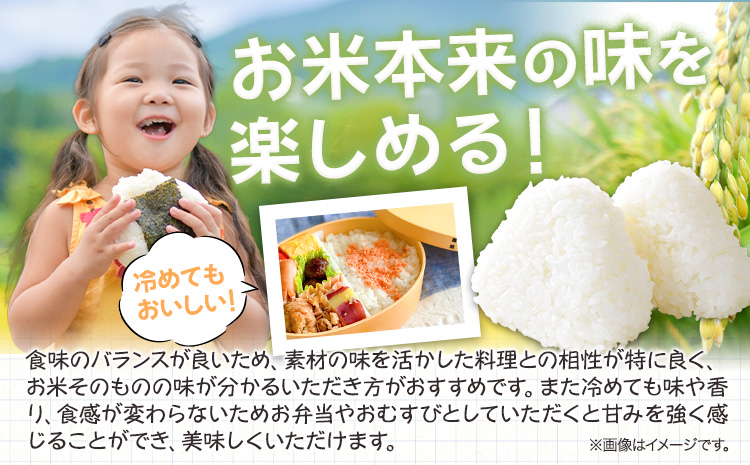 米 10kg 5kg×2袋 お米 10キロ 国産 岡山県産 きぬむすめ 10kg(5kg×2袋) 全農パールライス《90日以内に出荷予定(土日祝除く)》 岡山県 浅口市 送料無料 こめ 精米 きぬむすめ お取り寄せ