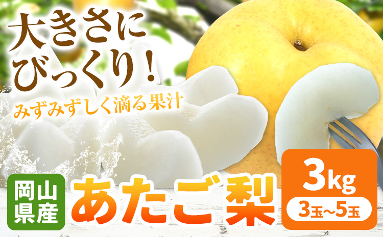 岡山県産 あたご梨 約3kg（3-5玉） 有限会社ホーティカルチャー神島《11月中旬-12月中旬頃出荷》岡山県 浅口市 なし 梨 果物 【配送不可地域あり】