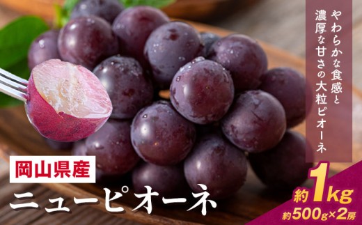 【先行予約】 岡山県産 ニューピオーネ詰合せ 選べる 計 1kg 株式会社はちや《6月下旬‐7月下旬頃出荷》岡山県 浅口市 ぶどう 葡萄 フルーツ ギフト 果物 デザート 国産 送料無料【配送不可地域あり】