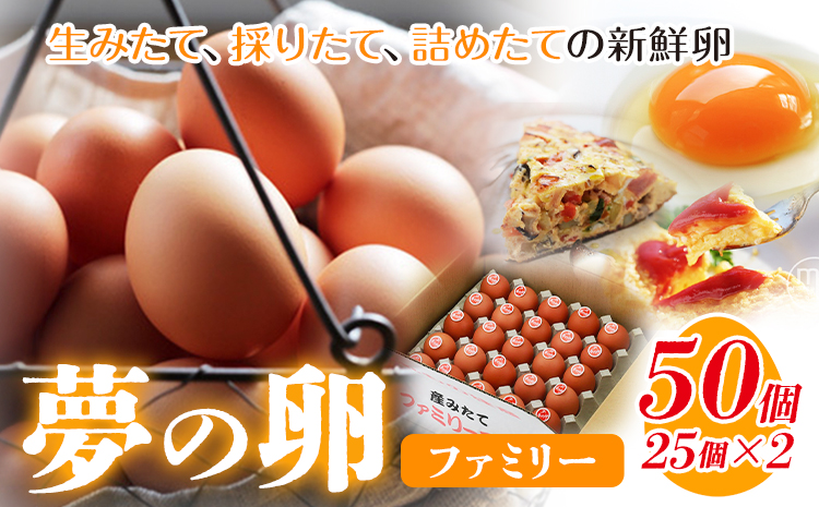 卵 たまご 赤玉 夢の卵 ファミリー 50個《90日以内に出荷予定(土日祝除く)》株式会社めぐみ 岡山県 浅口市 送料無料 25個 × 2セット たっぷり 家族 食卓