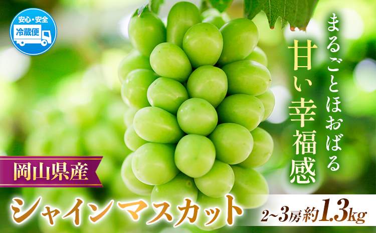 【2026年先行予約】岡山県産 シャインマスカット 約1.3kg ( 2-3房 ) クール便 晴れの国 おかやま館(フルーツランド岡山) 《2026年8月下旬-9月下旬頃出荷》岡山県 浅口市【配送不可地域あり】（離島）
