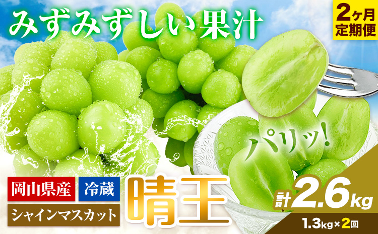 ぶどう 2ヶ月 定期便 [2026年先行予約] シャインマスカット 晴王 約1.3kg 岡山県産《9月上旬-10月末頃出荷(土日祝除く)》 ハレノフルーツ マスカット 送料無料 岡山県 浅口市 フルーツ 果物 贈り物 ギフト 国産 岡山県産 くだもの【配送不可地域あり】（北海道・沖縄・離島）