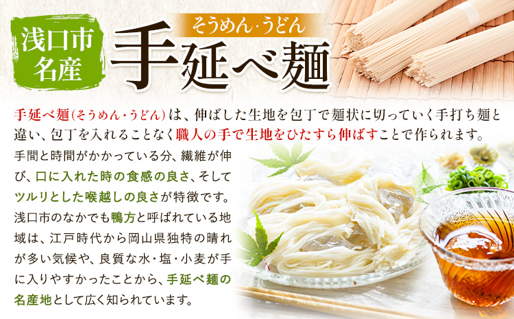 手延べピリ辛中華 タレ付き 1袋300g ( 麺 180g スープ 60g×2 ) 2食入 × 5袋 計10食 奥島屋 株式会社奥島創麺巧房《30日以内に出荷予定(土日祝除く)》岡山県 浅口市 送料無料 中華麺 冷やし中華 冷麺 細麺 豆板醤 ゴマ油