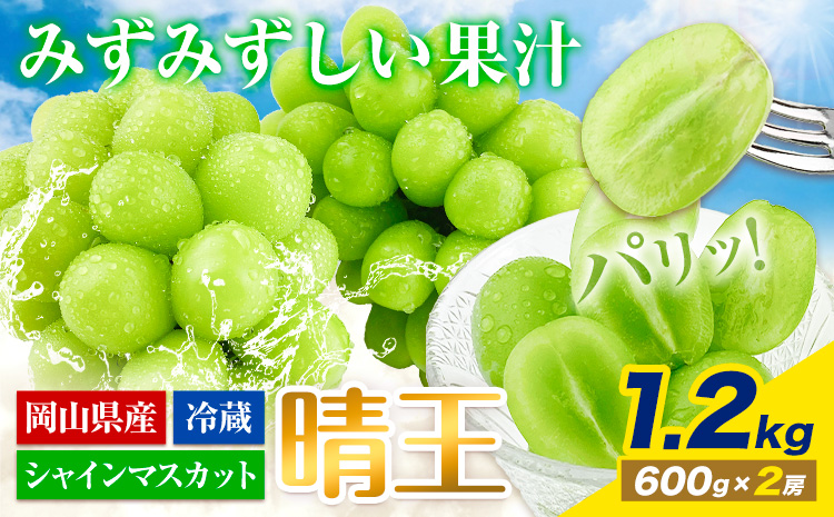 【2025年先行予約受付】ぶどう シャインマスカット 晴王 1.2kg（2房） 岡山県産《7月上旬-9月中旬頃出荷》 ハレノフルーツ マスカット 送料無料 岡山県 浅口市 フルーツ 果物 国産 岡山県産 くだもの 青果物【配送不可地域あり】（北海道・沖縄・離島）