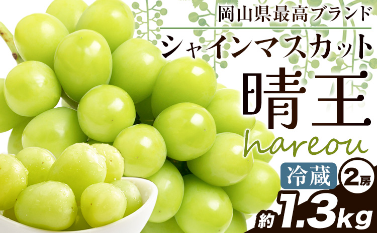 ぶどう 【2025年先行予約】 シャインマスカット 晴王 1.3kg (2房)《2025年9月中旬-11月上旬頃出荷》ハレノスイーツ 岡山中央卸売市場店 マスカット 送料無料 岡山県 浅口市 フルーツ 果物 贈り物 ギフト 国産 【配送不可地域あり】