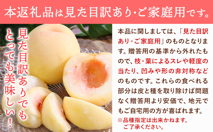 【2026年先行予約】ご家庭用 旬の桃 約1.2kg ( 4~6玉前後 ) 株式会社創・和(雅桃園) 《2026年7月上旬-8月上旬頃出荷》岡山県 浅口市 桃 もも フルーツ 果物 青果 旬 白桃 わけあり 訳あり【配送不可地域あり】（北海道・沖縄・離島）