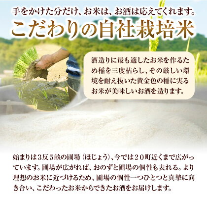 甘酒 詰め合わせ 300ml 6本 発酵生活研究所 丸本酒造株式会社 《30日以内に出荷予定(土日祝除く)》岡山県 浅口市 セット ノンアルコール 白麹 送料無料