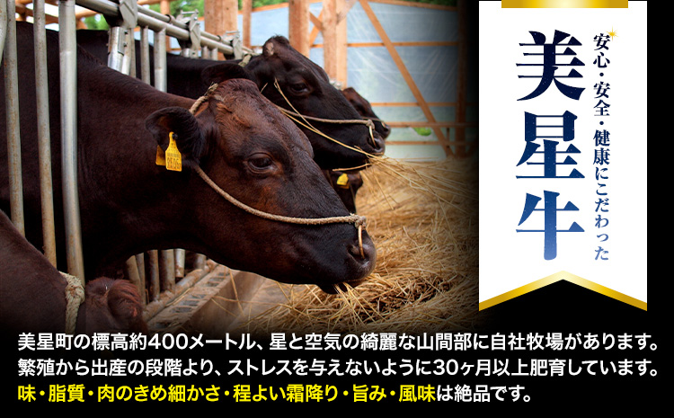 ã6ã¶æå®æäŸ¿ãçŸæç ãèã®å®æäŸ¿ ãµãŒãã€ã³ã¹ããŒã è©ããŒã¹ã¹ã©ã€ã¹ ããã¶ããã¶çš ãã¬ããè¯åããç³èŸŒã¿æã®ç¿æããçºéã å²¡å±±ç æµ
å£åž è åç åœç£ çè ãµãŒãã€ã³ çããŒã¹ ããã¶ããã¶