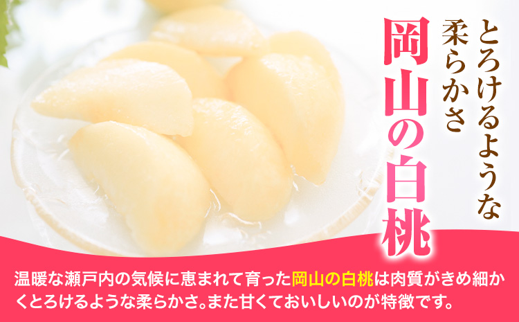 【2025年先行予約】白桃 岡山 8玉 ウィズフラワーホールディングス《2025年7月上旬-9月上旬頃出荷》岡山県 浅口市 桃 もも フルーツ 旬 果物 国産 岡山県産 送料無料 冷蔵【配送不可地域あり】（北海道・沖縄・離島）---124_c389_7j9j_23_25000_8---