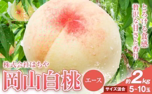 【先行予約】岡山白桃 等級 エース 約2kg《7月上旬‐8月下旬頃出荷》株式会社 はちや もも モモ 岡山 国産 フルーツ 果物 岡山県 浅口市 フルーツ モモ 果物 青果 旬 白桃 国産 岡山県産【配送不可地域あり】