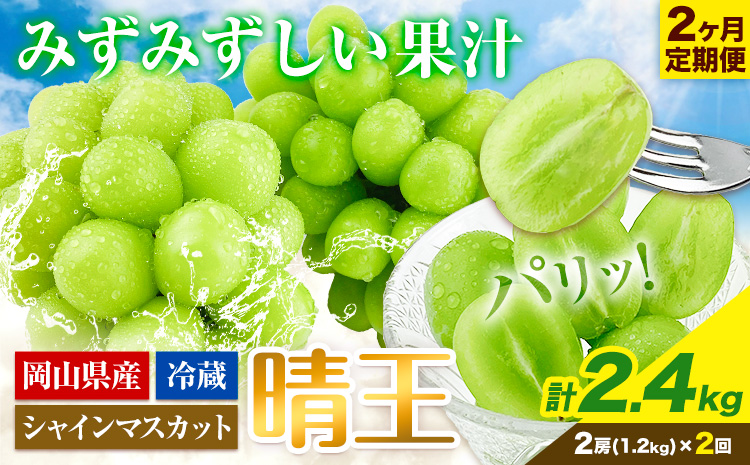 ぶどう 2ヶ月 定期便 [2026年先行予約] シャインマスカット 晴王 約1.2kg 岡山県産《9月上旬-10月末頃出荷(土日祝除く)》 ハレノフルーツ マスカット 送料無料 岡山県 浅口市 フルーツ 果物 贈り物 ギフト 国産 岡山県産 くだもの【配送不可地域あり】（北海道・沖縄・離島）