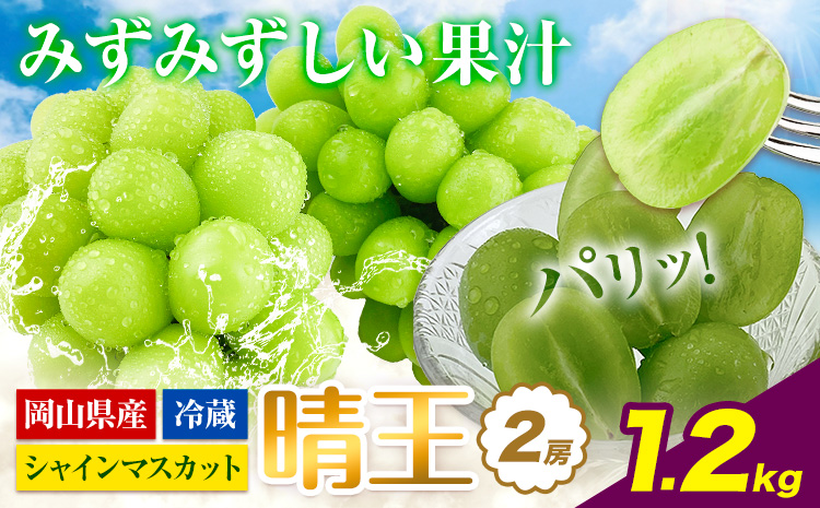 ぶどう [2026年先行予約] シャインマスカット 晴王 2房 1.2kg 岡山県産《2026年9月上旬-10月末頃出荷(土日祝除く)》 ハレノフルーツ マスカット 送料無料 岡山県 浅口市 フルーツ 果物 贈り物 ギフト 国産 岡山県産 くだもの 青果物 【配送不可地域あり】（北海道・沖縄・離島）