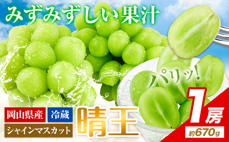 ぶどう [2025年先行予約] シャインマスカット 晴王 1房 約670g 岡山県産《9月上旬-10月上旬頃出荷(土日祝除く)》 ハレノフルーツ マスカット 送料無料 岡山県 浅口市 フルーツ 果物 贈り物 ギフト 国産 岡山県産 くだもの 青果物 【配送不可地域あり】（北海道・沖縄・離島）
