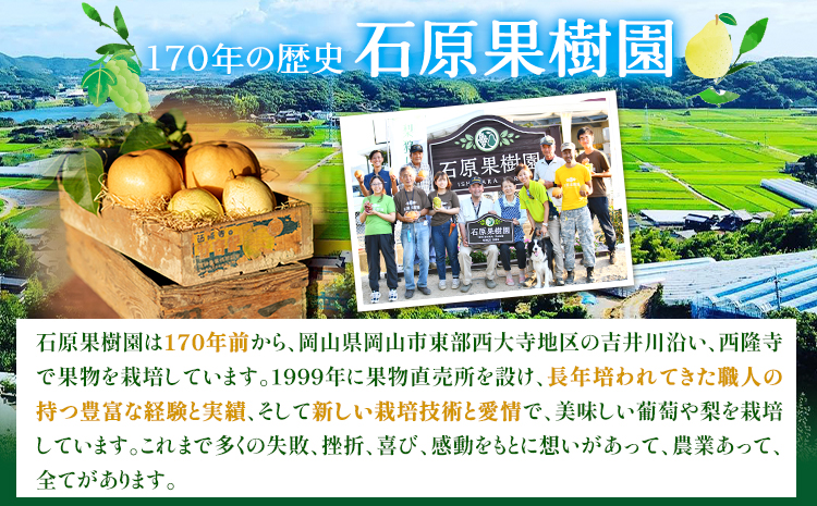 ã2026幎å
è¡äºçŽã梚 ãªã 2kg 梚 ãããæ¢š 1ç 2ç 鎚梚 2ç ç¹éžç®± ç³åææš¹å ãã ãã® ãã«ãŒã ã2026幎11æäžæ¬-12æäžæ¬é ããçºéäºå®ãå²¡å±±ç æµ
å£åž 岡山çç£ æç© ãã«ãŒã 梚 è©°ãåãã èŽççš